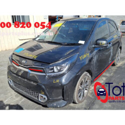 2021 Kia Picanto